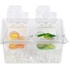 Kølet Ingrediens beholdere inklusive 2xGN1/6-100mm kantiner med låg Plast | Adexa CHP04B2
